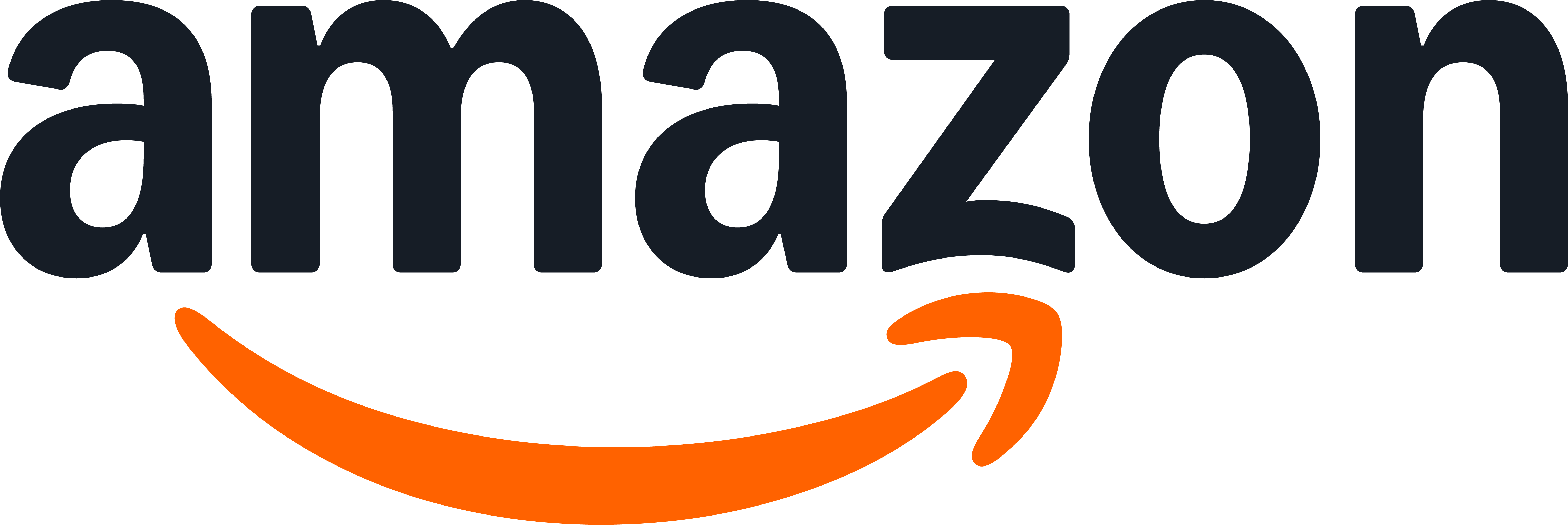 Amazon – Platinum Partner